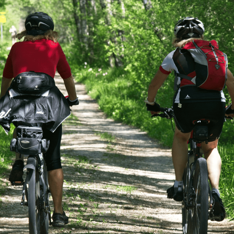 Fewo Maximilianpark 48