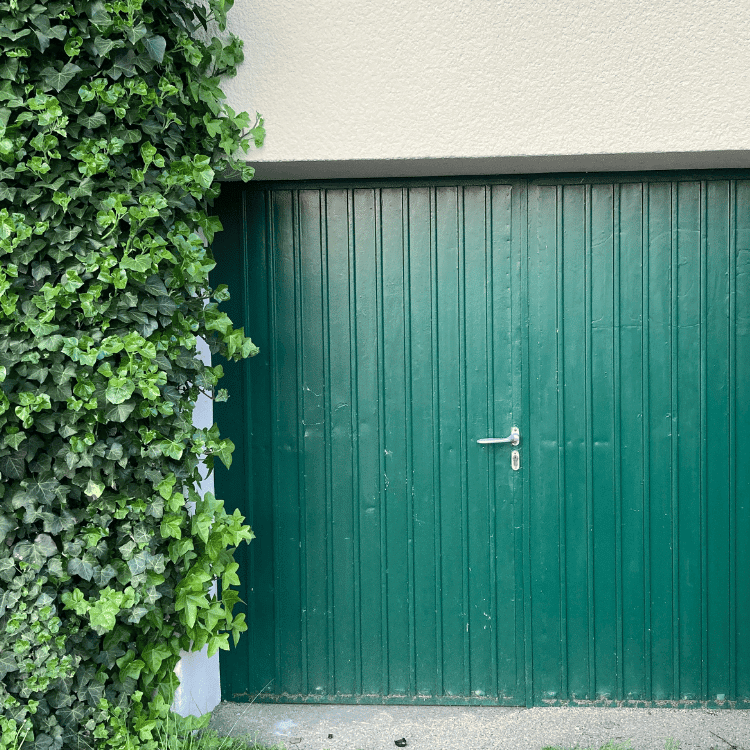 Fewo Maximilianpark 88