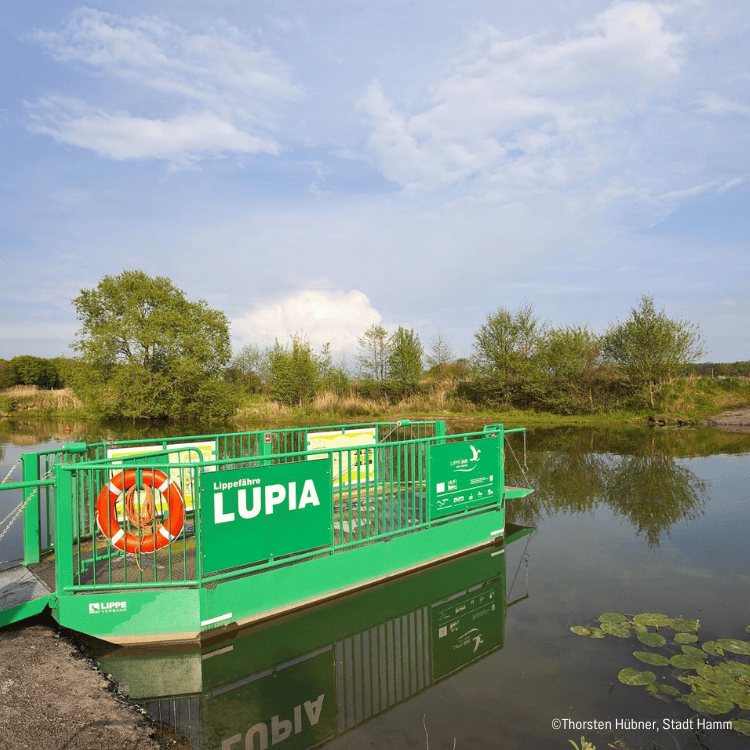 Fewo Maximilianpark 30