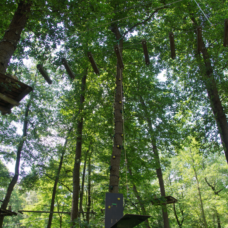 Ferienwohnung Maximilianpark Hamm - Kletterpark Hamm