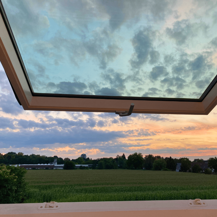 Möblierte Wohnung Nähe Maximilianpark in Hamm Ausblick Dachfenster