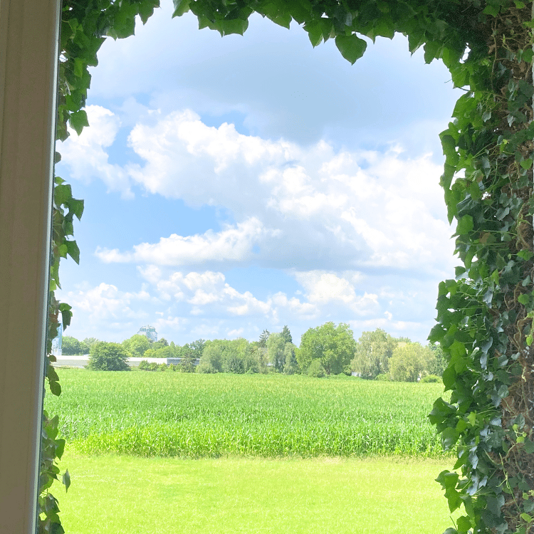 Ferienwohnung am Maximilianpark Hamm (10)