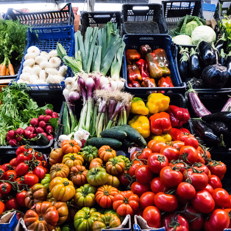 Ferienwohnung Maximilianpark Hamm - Samstags Markt
